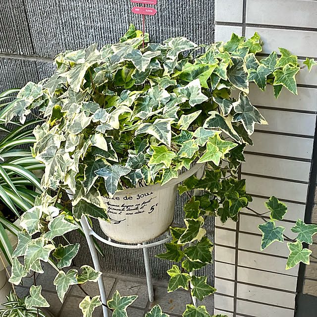 YuuKoさんの実例写真