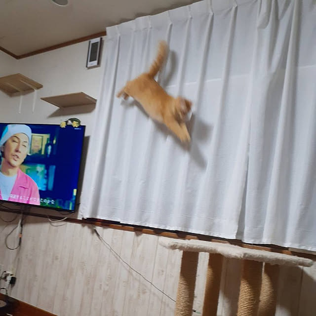 gabさんの実例写真