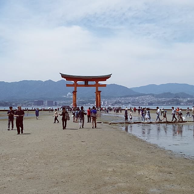akazukinさんの実例写真
