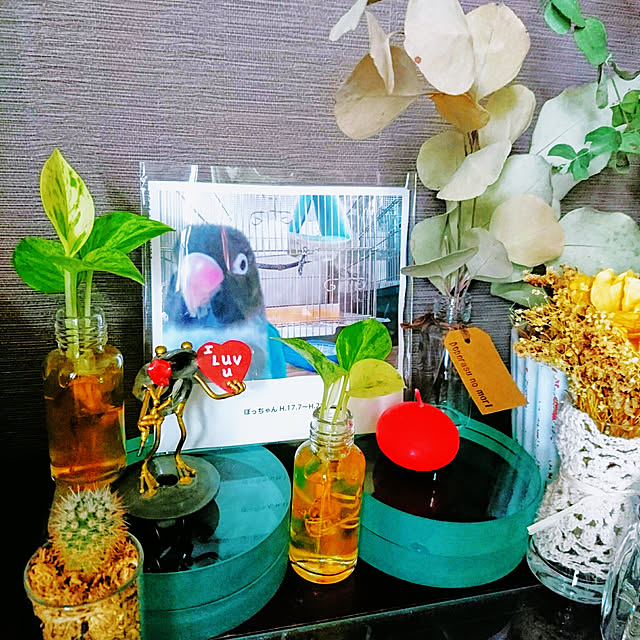 s.p.sunaoさんの実例写真