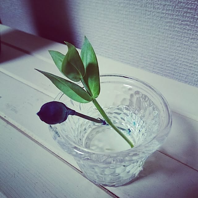 naruweb10さんの実例写真