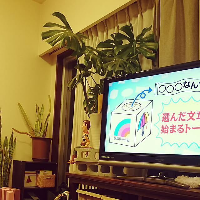 実例写真