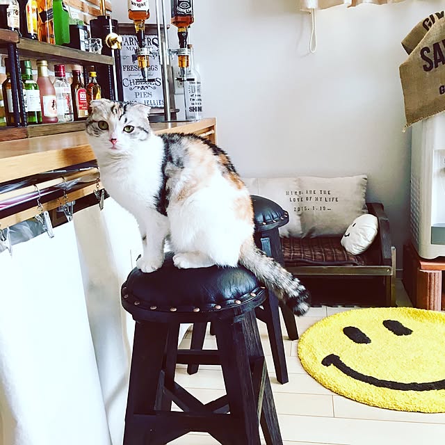 yokkochanさんの実例写真