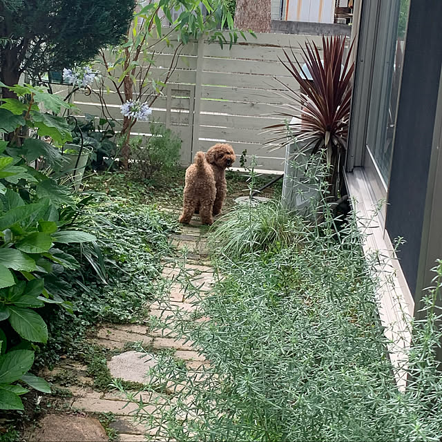 kazuさんの実例写真
