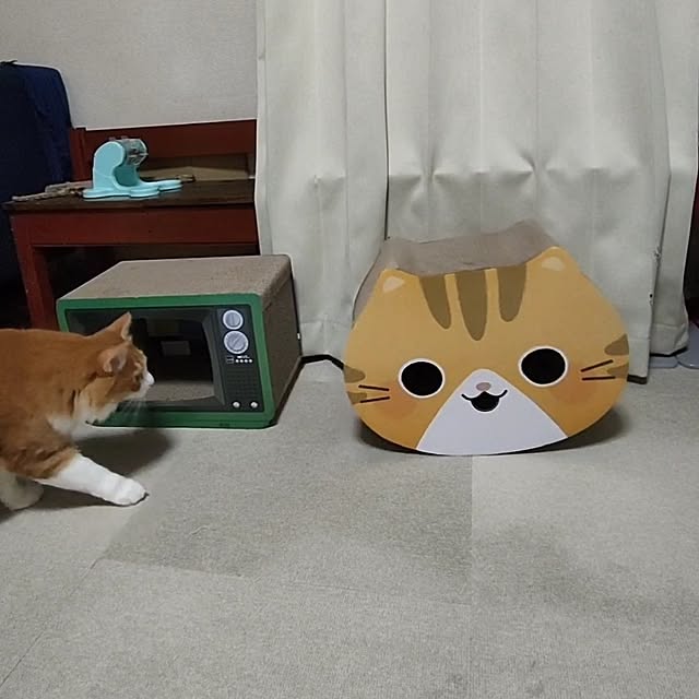 mori_6_12さんの実例写真