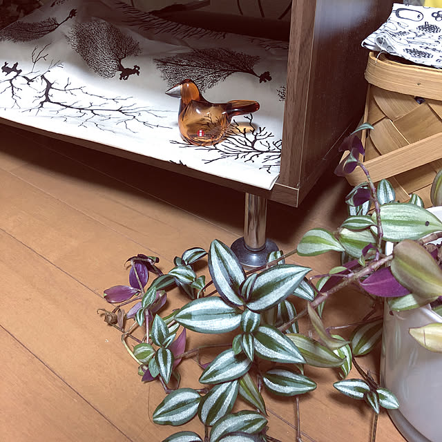 juboccoさんの実例写真