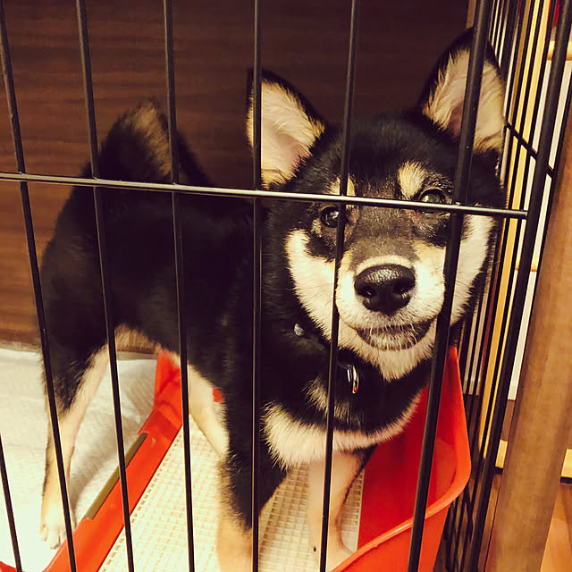 nuruiさんの実例写真
