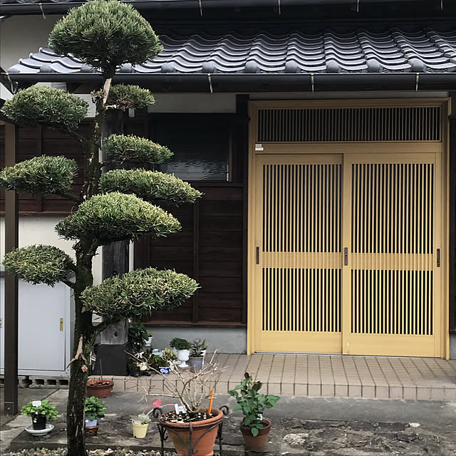 sakura1116さんの実例写真