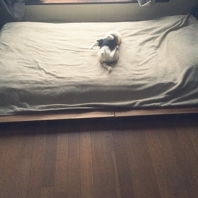 88さんの実例写真