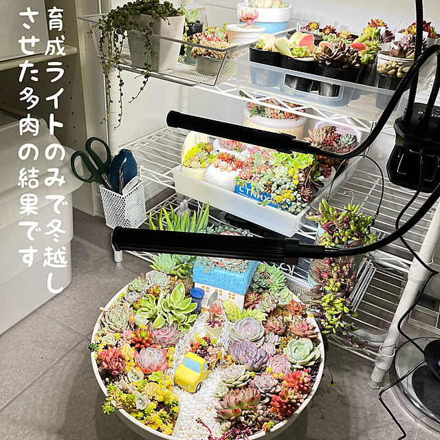 unichanさんの部屋