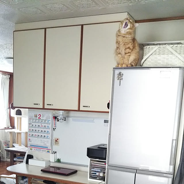 gabさんの実例写真