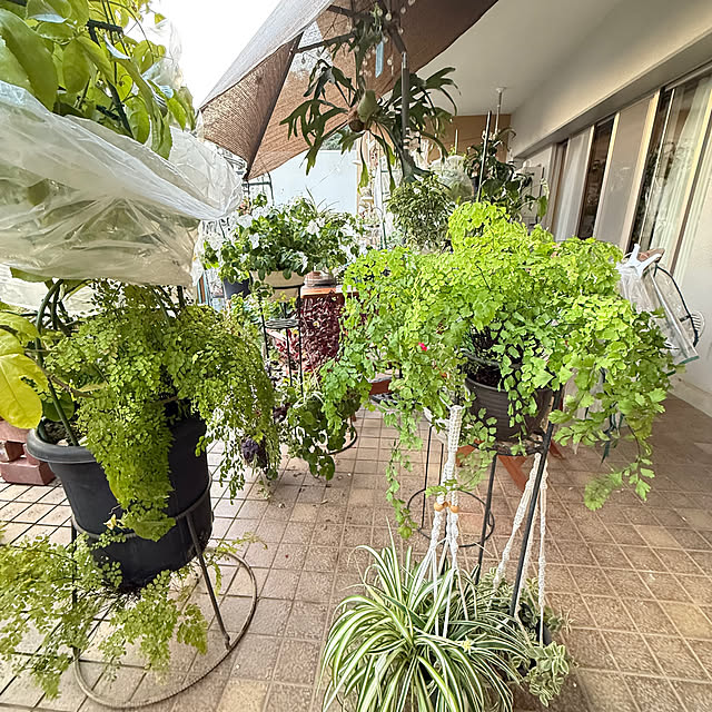 Aqettyさんの部屋