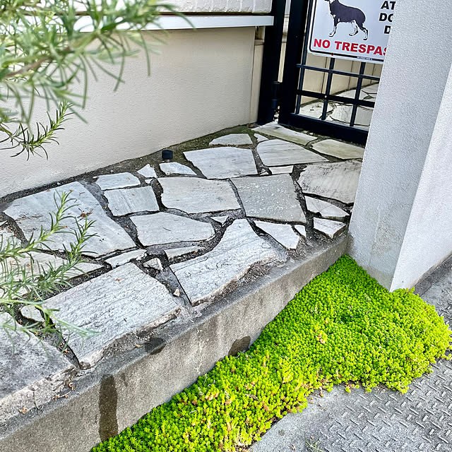 kenzさんの部屋