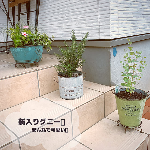taachanさんの実例写真