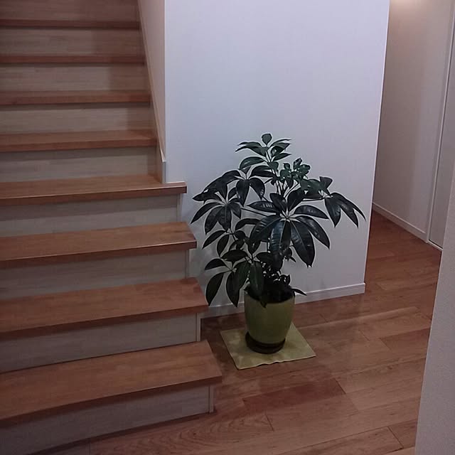 junaさんの実例写真