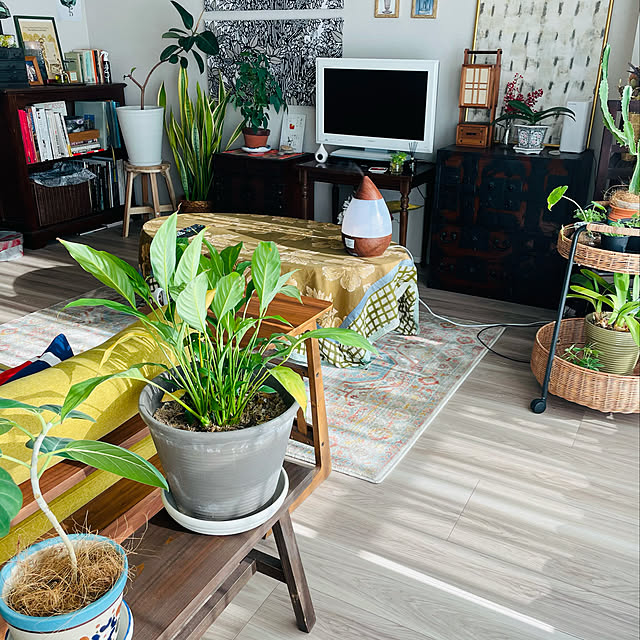 IKEA - イケア -】SKOGSTA -スコグスタ- イス スツール アカシア IKEA - イケア -】SKOGSTA -スコグスタ- イス スツール アカシア