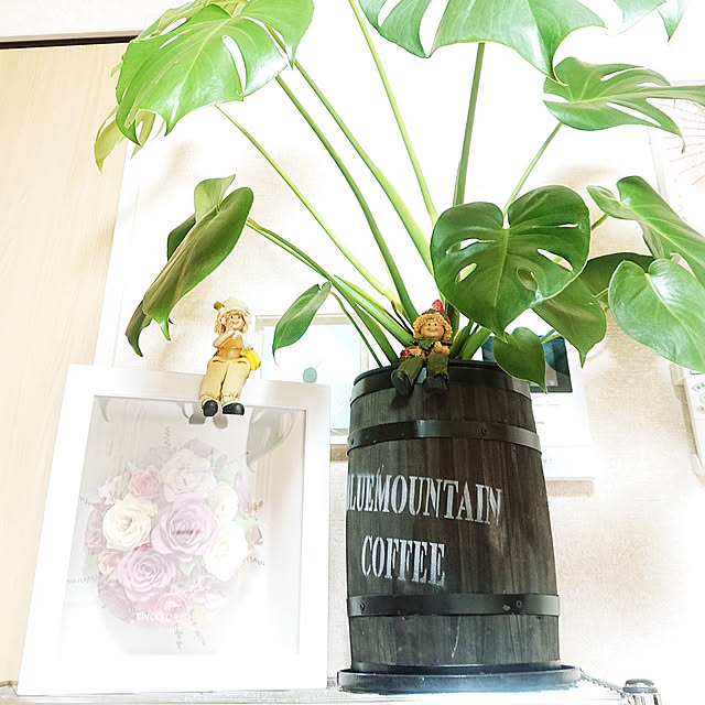 KOMARIN358さんの実例写真