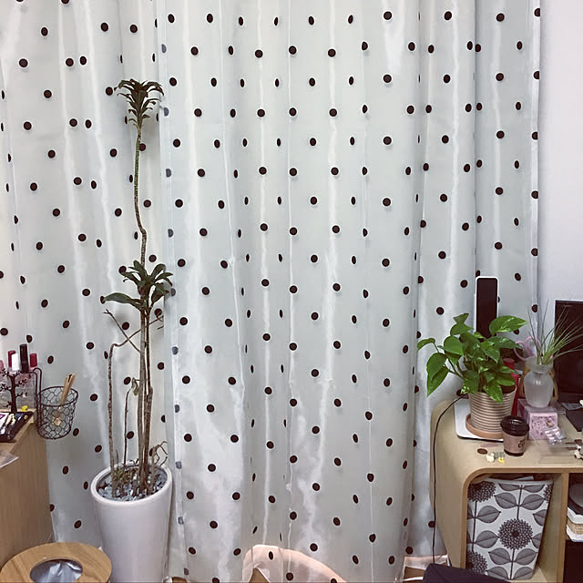部屋全体/観葉植物/ナチュラル/雑貨/一人暮らしのインテリア実例 - 2018-05-07 09:24:10