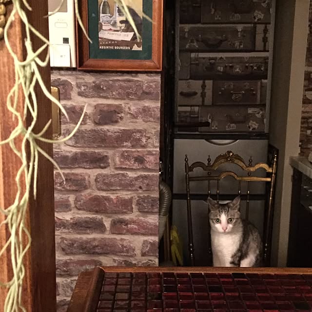 emmyyさんの実例写真
