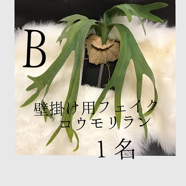 morimiさんの実例写真