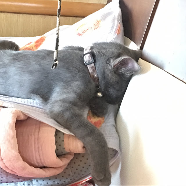 kmakkyiさんの実例写真