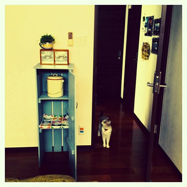 MUMU.muusanさんの実例写真