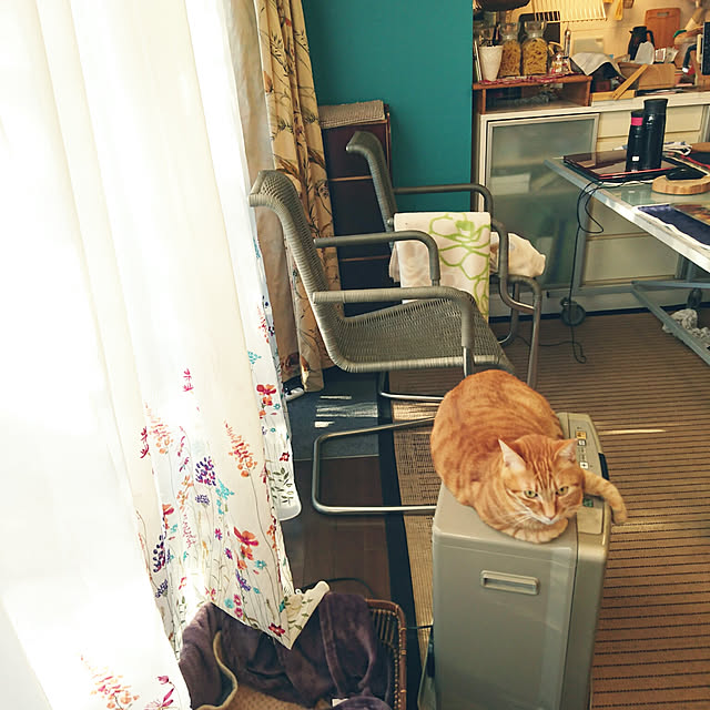 okyosan101さんの実例写真