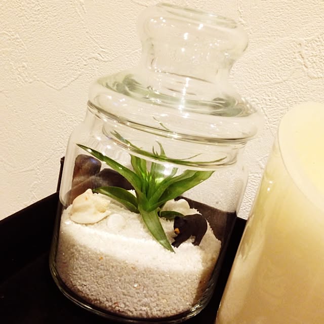 kohaku_iroさんの実例写真