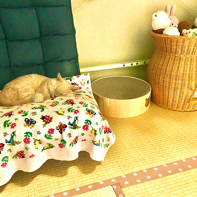 naokoさんの実例写真