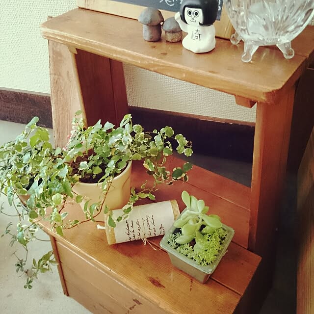 aocoさんの実例写真