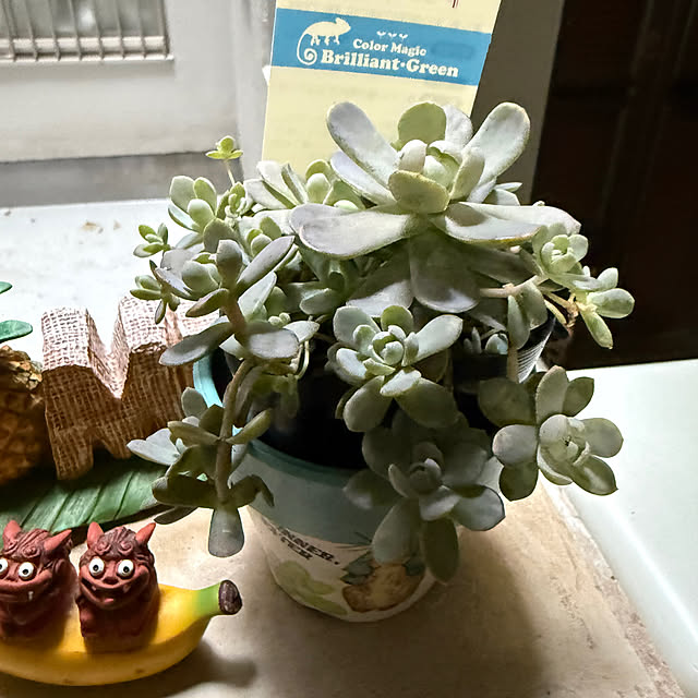 Aqettyさんの実例写真