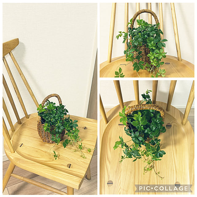 yoyoyoさんの部屋