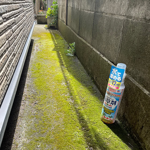 ronronさんの部屋