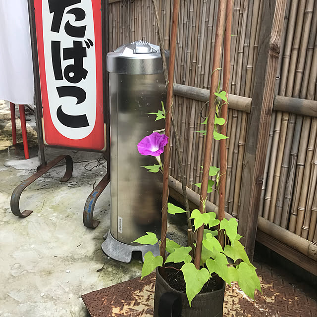 sabiさんの実例写真
