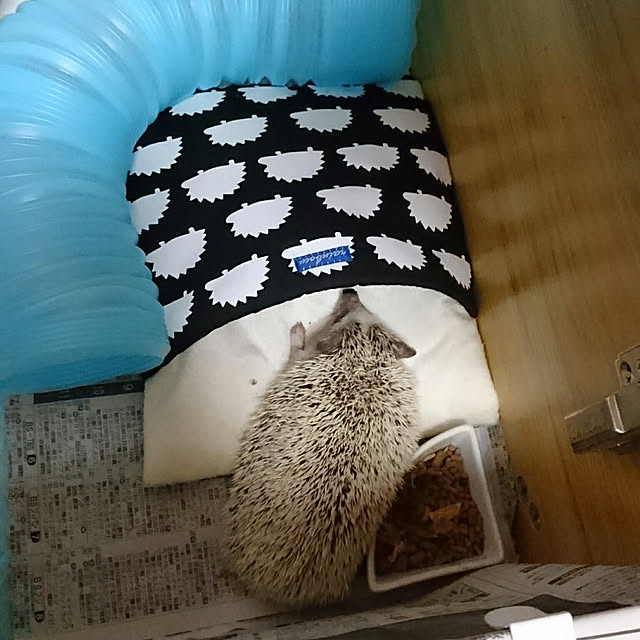 Reikomさんの実例写真
