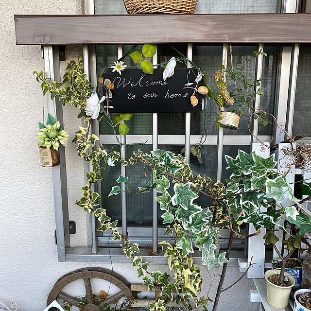 mamiさんの実例写真