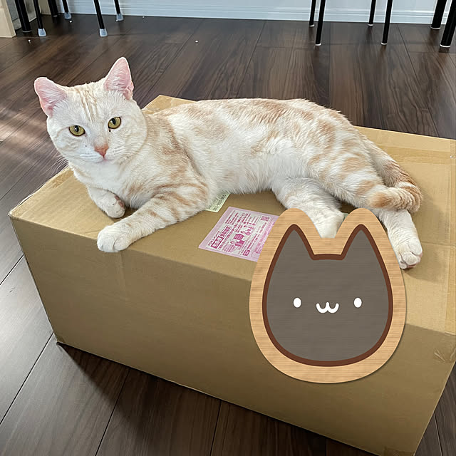 aikaさんの実例写真