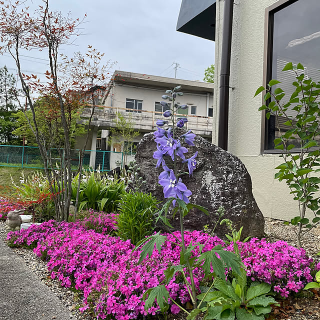 shin0719さんの部屋