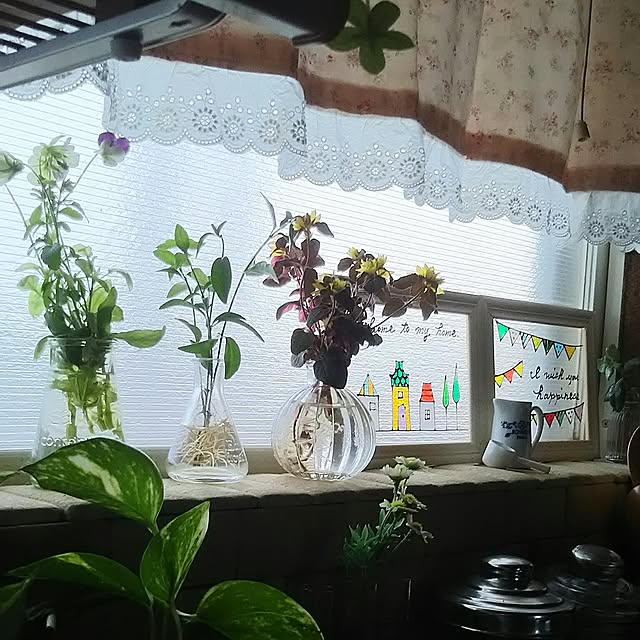 naopyiさんの実例写真