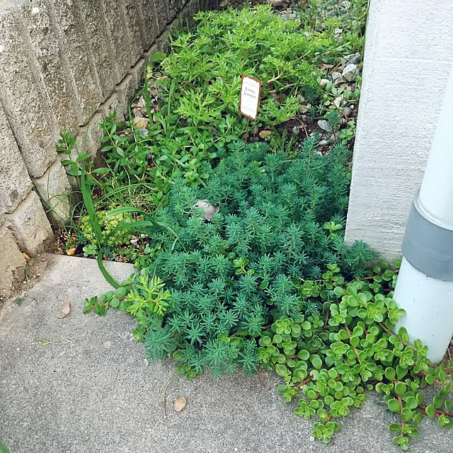 meiさんの実例写真