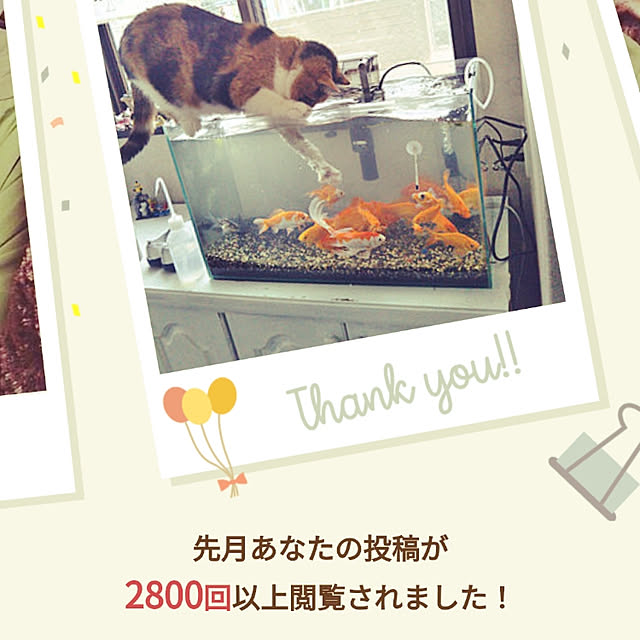 yukieさんの実例写真