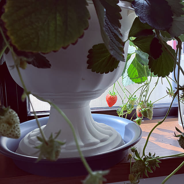 ant1040さんの部屋