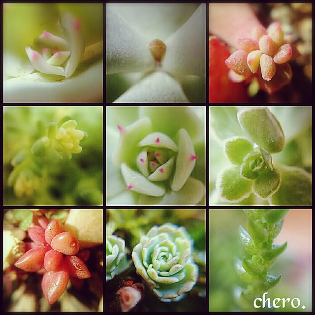 chero.さんの実例写真