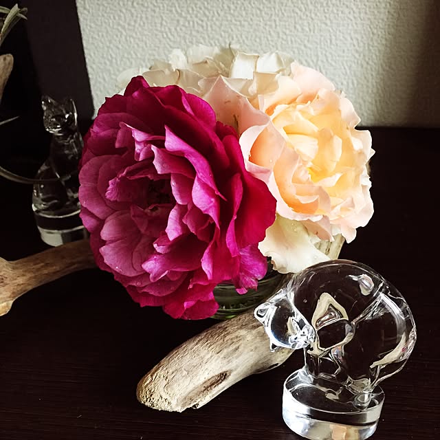 m.h.mammyさんの実例写真