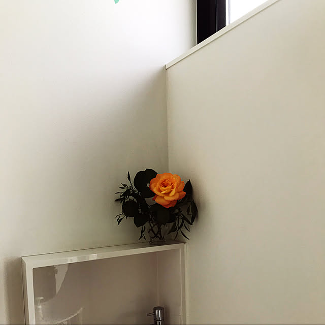 yukiさんの実例写真