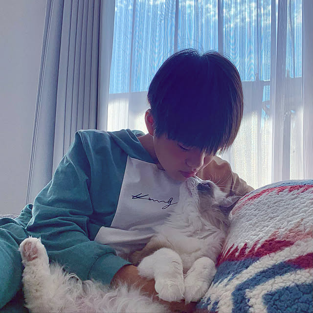 Micccaさんの実例写真