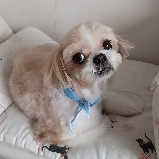 ronさんの実例写真