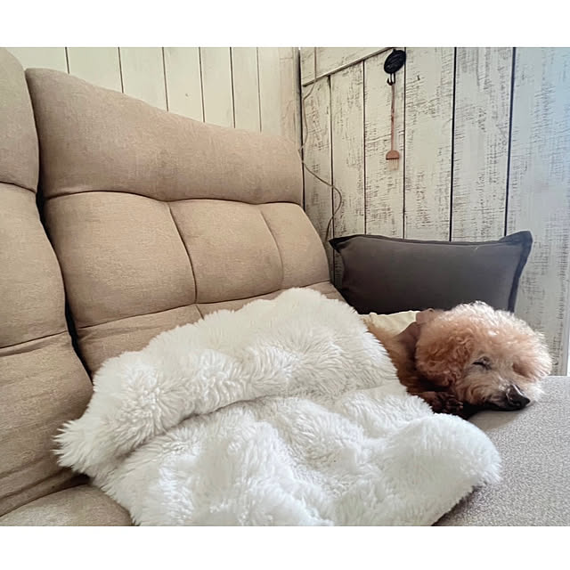 rookuさんの部屋