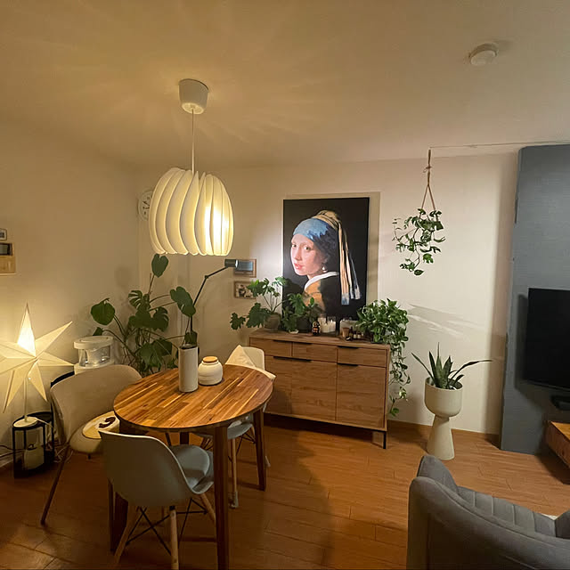 akoさんの実例写真