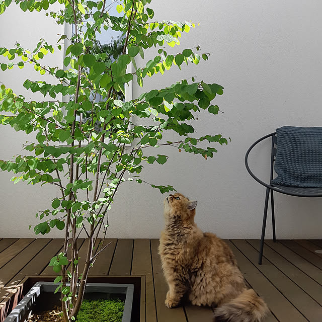 nanoさんの実例写真
